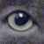 :iconicedeyes: