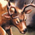 :iconicedog90: