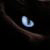 :iconicedragonpyre: