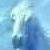 :iconicehorserider: