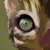 :iconiceity: