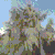 :iconiceknight: