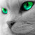 :iconicekokoroyuki: