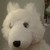 :iconicepawwarrior: