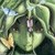 :iconicequeenphoenix: