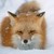:iconiceshardsnow: