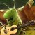 :iconicespoon: