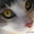 :iconicestar07: