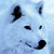 :iconicewolfaspect: