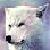 :iconicewolfpack: