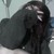 :iconichihime20: