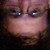 :iconichio225: