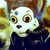 :iconichiruki5: