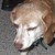 :iconichliebebillkaulitz: