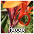 :iconicoco: