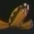 :iconiconkontantrumplz: