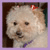 :iconicount: