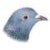 :iconicterid: