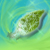 :iconicy-leaf: