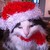 :iconicybee: