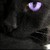 :iconicywintersky: