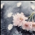 :iconidareyoutoforget: