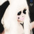 :iconidateme: