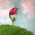 :iconidawrk: