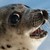 :iconideadlykiss: