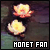 :iconideal-hobo:
