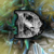 :iconidesigngfx: