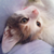:iconidesmagic: