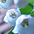 :iconidhrenniel-stock: