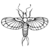IdiotDragon :iconidiotdragon:
