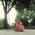 :iconidream-incolor: