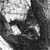 :iconidril-silverfoot: