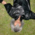 :iconidropforyou: