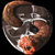 :iconidu: