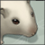 :iconiduck: