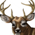 ieachan :iconieachan:
