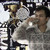 :iconiendiy: