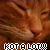 :iconiesthir: