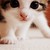 :iconiffie-effie: