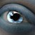 :iconifignorance: