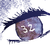 :iconifkittycatscoudfly: