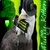 :iconifluffykitten: