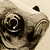 :iconiganokage: