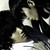 :iconige-eummoya: