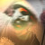 :iconiglooink: