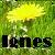 :iconignesann: